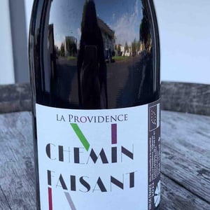 Chemin Faisant - Domaine La Providence - benedicte-jean-benoit-comor -2022