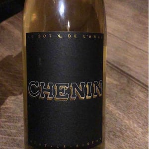 Chenin 2021 - Le Sot de l'Ange - Angélique & Quentin Bourse