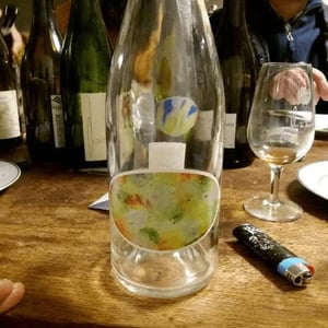 Chenin - Domaine Sylvain Saux - Domaine Sylvain Saux 