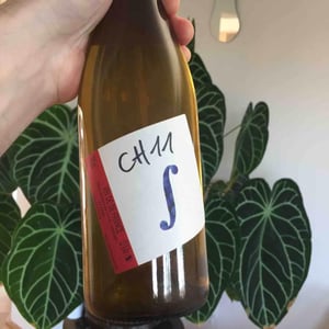 Chenin - Domaine Saurigny - Jérôme Saurigny -2011