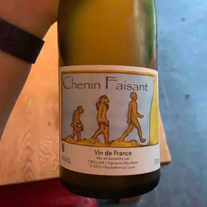 Chenin Faisant - La Cave Béclair - gildas-thierry-beclair