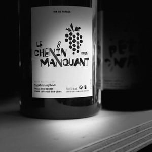 Chenin manquant - La vallée des ombres - Thomas Lagelle -2021