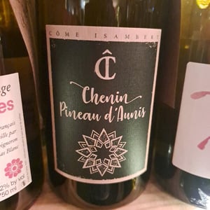 Chenin Pineau d'Aunis - Côme Isambert - Côme Isambert -2021