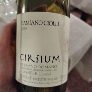 Cirsium - Damiano Ciolli - damiano-ciolli -2019