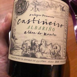 Castiñeiro - Fento Wines - eulogio-pomares -2019