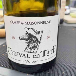 Cheval En Tête - Cosse & Maisonneuve - Matthieu Cosse & Catherine Maisonneuve 