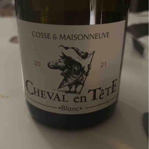 Cheval En Tête - Cosse & Maisonneuve - Matthieu Cosse & Catherine Maisonneuve 