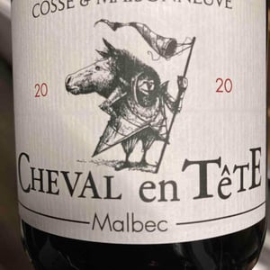 Cheval En Tête - Cosse & Maisonneuve - matthieu-cosse-catherine-maisonneuve