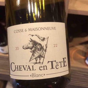 Cheval En Tête - Cosse & Maisonneuve - matthieu-cosse-catherine-maisonneuve