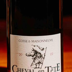 Cheval En Tête - Cosse & Maisonneuve - matthieu-cosse-catherine-maisonneuve
