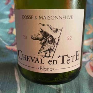 Cheval En Tête - Cosse & Maisonneuve - Matthieu Cosse & Catherine Maisonneuve -2021