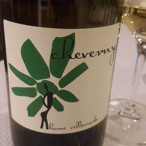 Hervé Villemade - Hervé Villemade - Cheverny (blanc) - Domaine