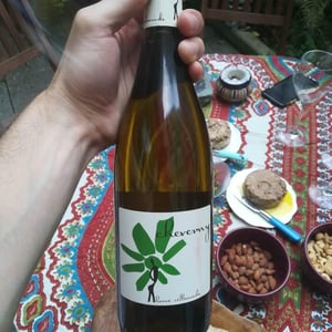 Hervé Villemade - Hervé Villemade - Cheverny (blanc) - Domaine
