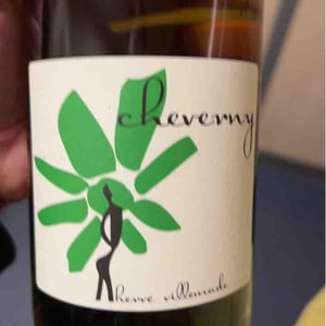Hervé Villemade - Hervé Villemade - Cheverny (blanc) - Domaine
