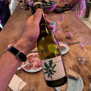 Cheverny (blanc) - Domaine - Hervé Villemade - Hervé Villemade 