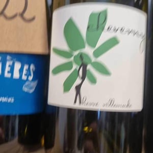 Cheverny (blanc) - Domaine - Hervé Villemade - herve-villemade