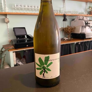 Cheverny (blanc) - Domaine - Hervé Villemade - herve-villemade