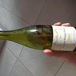 Philippe Tessier - Philippe et Simon Tessier - Cheverny (blanc)