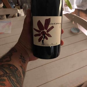 Hervé Villemade - Hervé Villemade - Cheverny (rouge) - Domaine