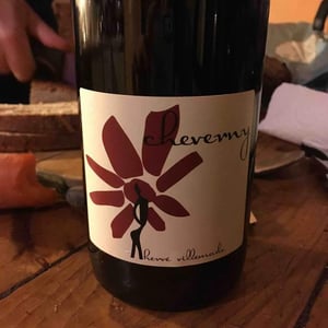 Hervé Villemade - Hervé Villemade - Cheverny (rouge) - Domaine