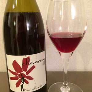 Hervé Villemade - Hervé Villemade - Cheverny (rouge) - Domaine