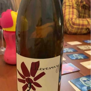 Hervé Villemade - Hervé Villemade - Cheverny (rouge) - Domaine