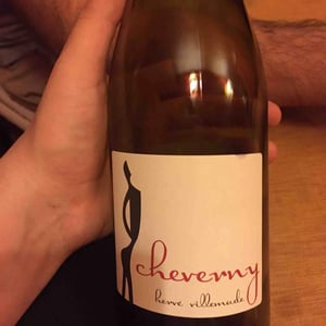 Hervé Villemade - Hervé Villemade - Cheverny (rouge) - Domaine