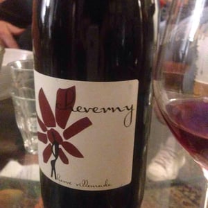 Hervé Villemade - Hervé Villemade - Cheverny (rouge) - Domaine