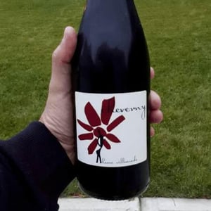 Hervé Villemade - Hervé Villemade - Cheverny (rouge) - Domaine