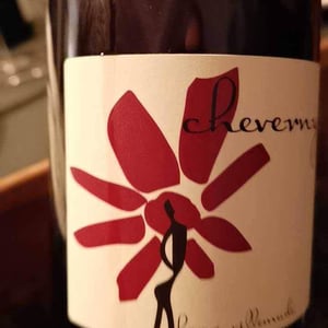 Hervé Villemade - Hervé Villemade - Cheverny (rouge) - Domaine