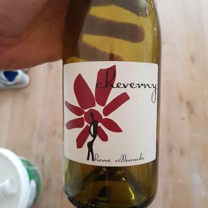 Hervé Villemade - Hervé Villemade - Cheverny (rouge) - Domaine