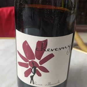 Hervé Villemade - Hervé Villemade - Cheverny (rouge) - Domaine