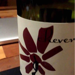 Hervé Villemade - Hervé Villemade - Cheverny (rouge) - Domaine