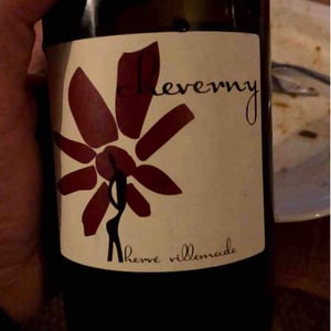 Hervé Villemade - Hervé Villemade - Cheverny (rouge) - Domaine
