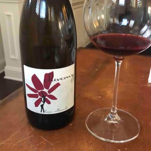 Hervé Villemade - Hervé Villemade - Cheverny (rouge) - Domaine