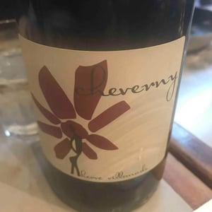 Hervé Villemade - Hervé Villemade - Cheverny (rouge) - Domaine
