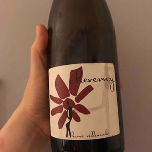 Hervé Villemade - Hervé Villemade - Cheverny (rouge) - Domaine