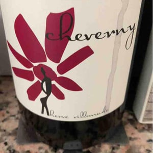 Hervé Villemade - Hervé Villemade - Cheverny (rouge) - Domaine