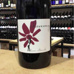 Cheverny (rouge) - Domaine - Hervé Villemade - herve-villemade