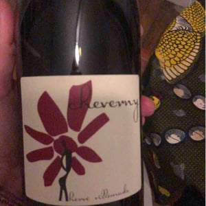 Hervé Villemade - Hervé Villemade - Cheverny (rouge) - Domaine