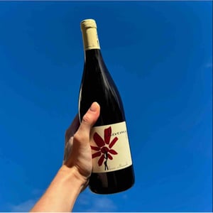 Hervé Villemade - Hervé Villemade - Cheverny (rouge) - Domaine