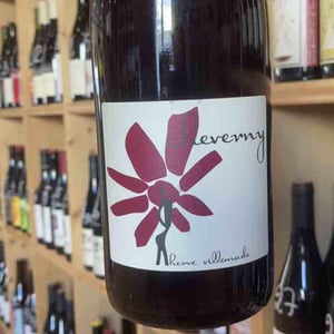 Cheverny (rouge) - Domaine - Hervé Villemade - herve-villemade