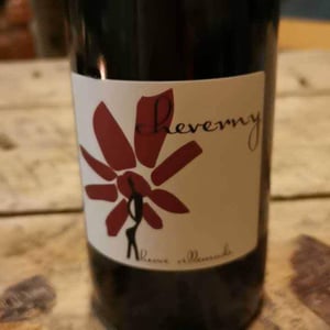 Hervé Villemade - Hervé Villemade - Cheverny (rouge) - Domaine