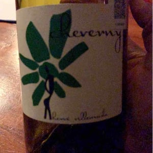 Hervé Villemade - Hervé Villemade - Cheverny (rouge) - Domaine