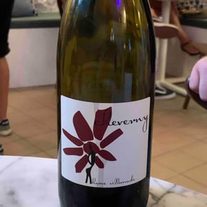 Hervé Villemade - Hervé Villemade - Cheverny (rouge) - Domaine