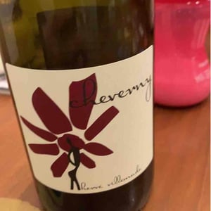 Hervé Villemade - Hervé Villemade - Cheverny (rouge) - Domaine
