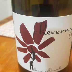 Hervé Villemade - Hervé Villemade - Cheverny (rouge) - Domaine