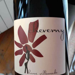 Hervé Villemade - Hervé Villemade - Cheverny (rouge) - Domaine