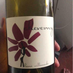 Hervé Villemade - Hervé Villemade - Cheverny (rouge) - Domaine