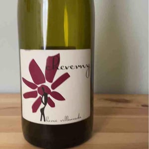 Hervé Villemade - Hervé Villemade - Cheverny (rouge) - Domaine